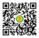 夏令營(yíng)微信